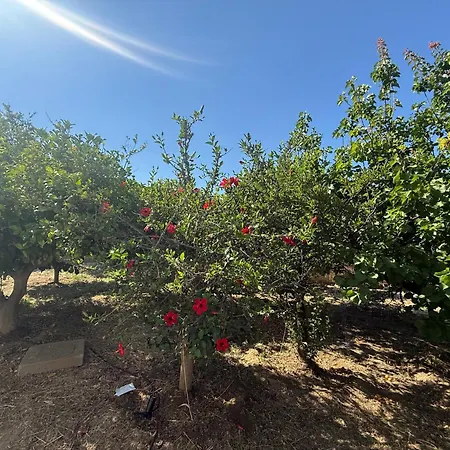 Lambis Garden Hideaway